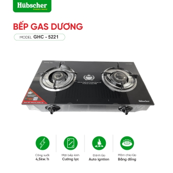 Bếp gas dương GHC - 5221